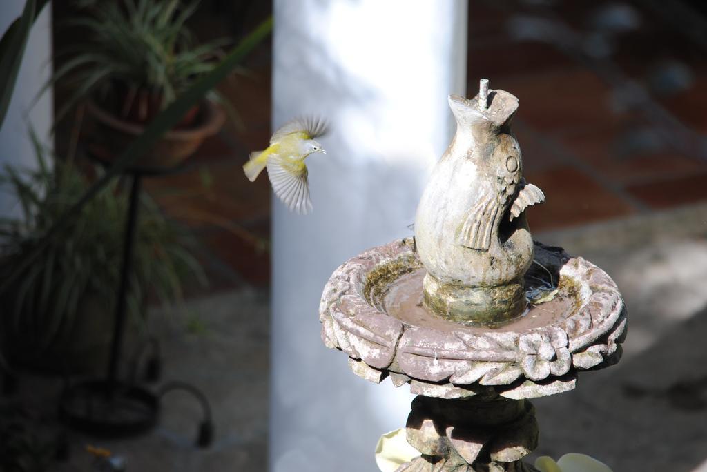 Hotel Jovel San Cristóbal de Las Casas Dış mekan fotoğraf