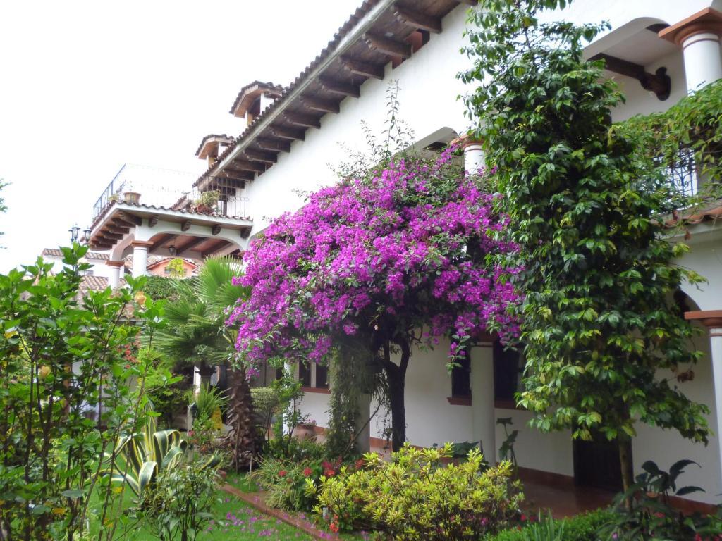 Hotel Jovel San Cristóbal de Las Casas Dış mekan fotoğraf
